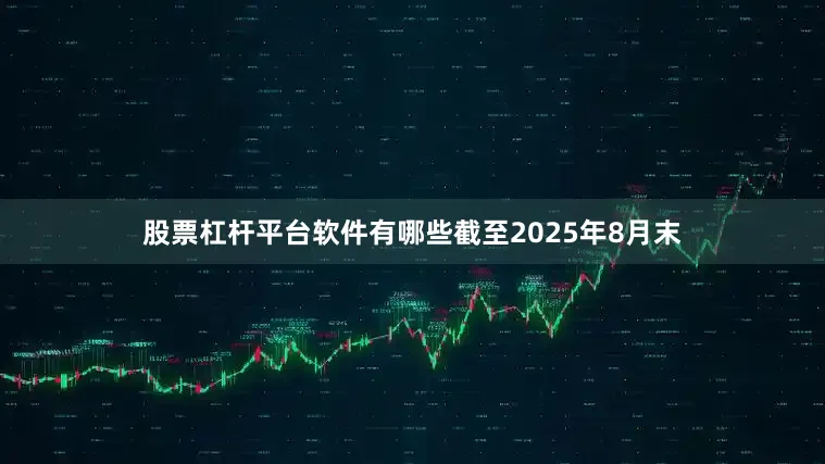 股票杠杆平台软件有哪些截至2025年8月末