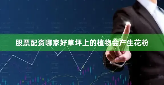 股票配资哪家好草坪上的植物会产生花粉